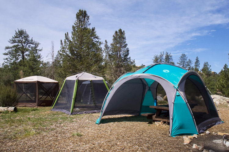Top 10 Best Canopy Tents for Camping Reviewed