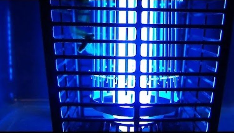 Top 10 Best Electronic Mosquito Killers Reviewed in 2026