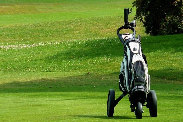 10 Best Golf Carts to Buy For The Avid Golfer