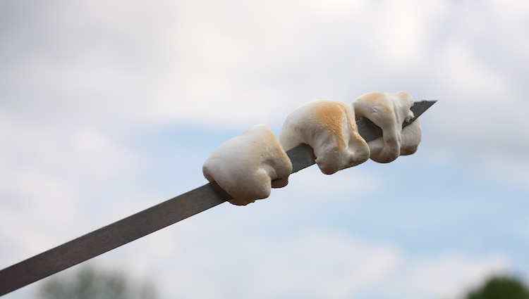 10 Best Marshmallow Roasting Sticks For Camping