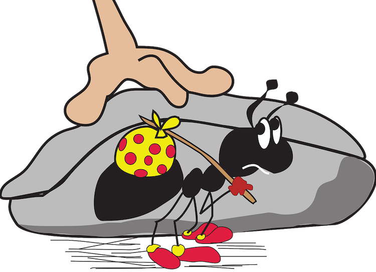 15 Ways to Get Rid of Ants in The Kitchen Naturally