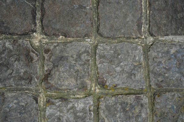 The 6 Best Grout Cleaner Choices on the Market