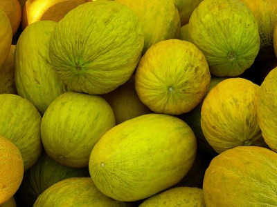 6 Amazing Health Benefits of Casaba Melon: Chock-full of Vitamins & Minerals