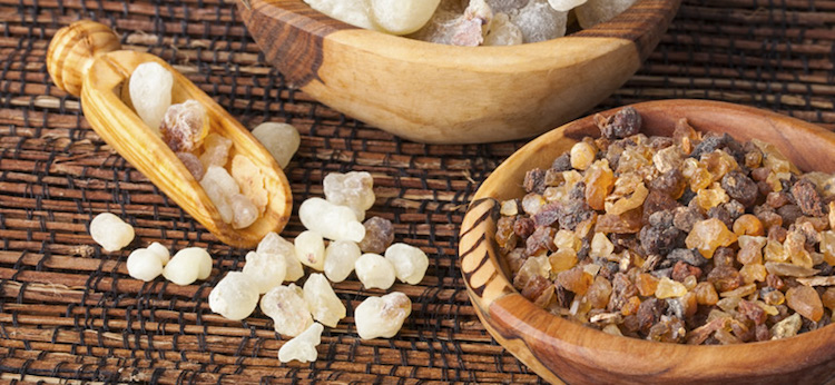Myrrh Essential Oil and Body Wellness: What You Need to Know