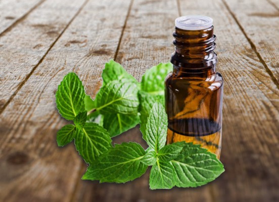 10 Reasons Why You Should Start Using Spearmint Essential Oil