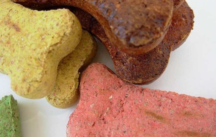 10 Best Dog Foods That Your Dog Will Absolutely Love