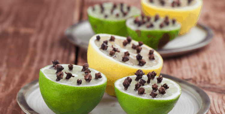 DIY Mosquito Traps: 16 Ideas to Catch 1,000s of Mosquitos Every Night