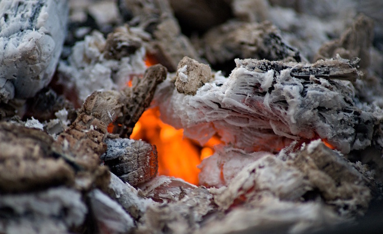 10 Surprising Ways to Use Wood Ash in Your Garden & Home