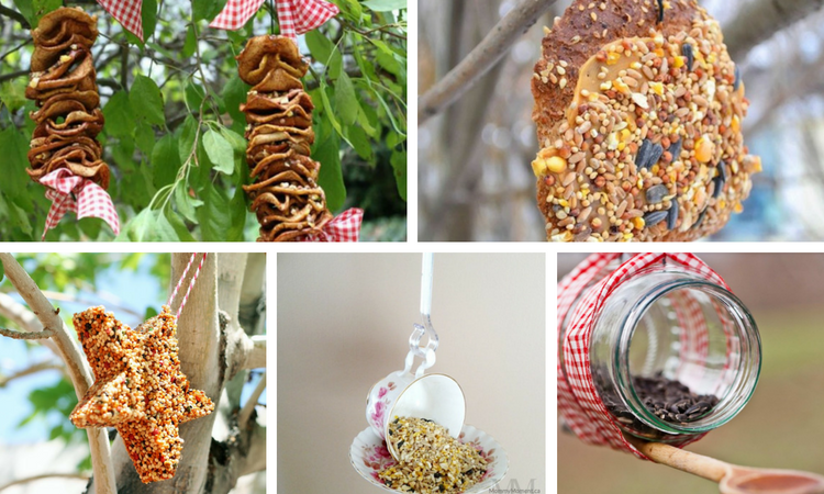 24 Ways to Make Your Own Birder Feeder For Your Garden or Backyard