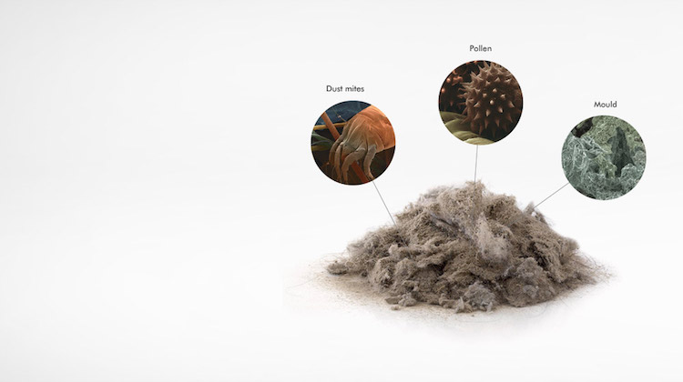 15 Easy Ways to Allergy-Proof Your Home