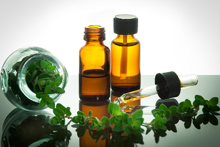 Oil of Oregano: 11 Mind Blowing Uses Of This Potent Essential Oil