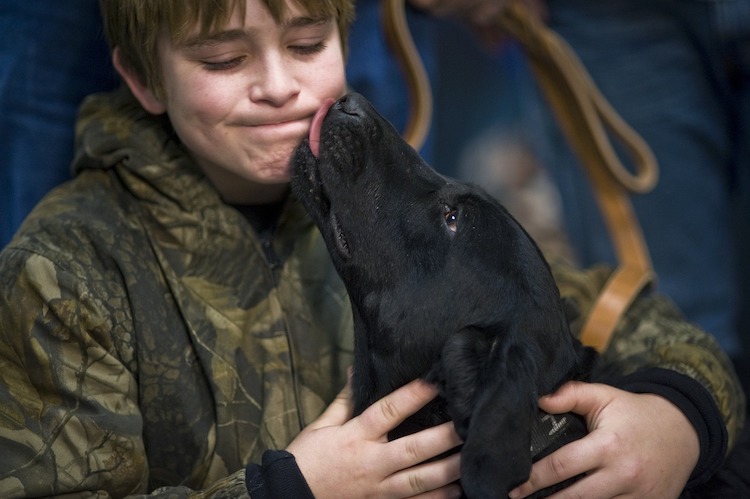 Why Do Dogs Lick? (10 Explanations & Why You Should Care in The First Place)