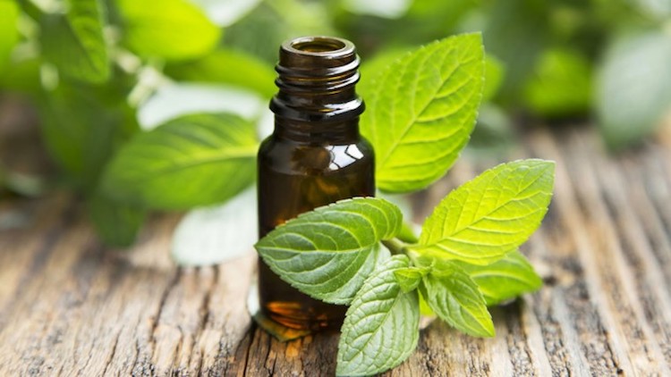 The Miracle of Peppermint Oil: 20 Practical Uses For Beauty & Health