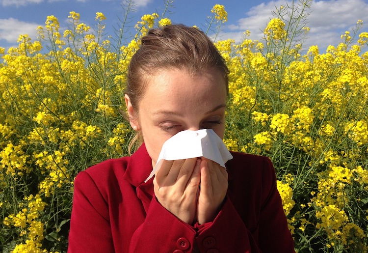 10 Most Effective Natural Remedies for Allergy Relief