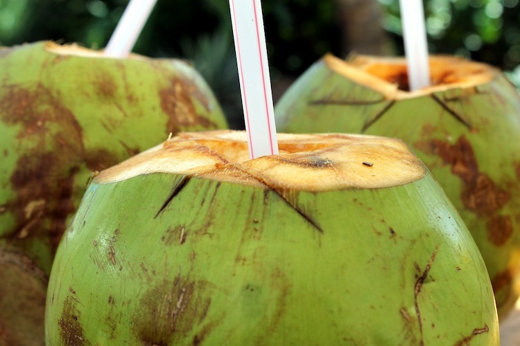11 Reasons Why You Should Start Drinking Coconut Water Every Day