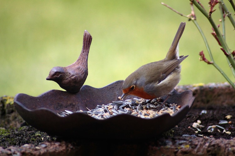 14 Adorable Bird Bath Ideas That Are Easy and Fun to Build