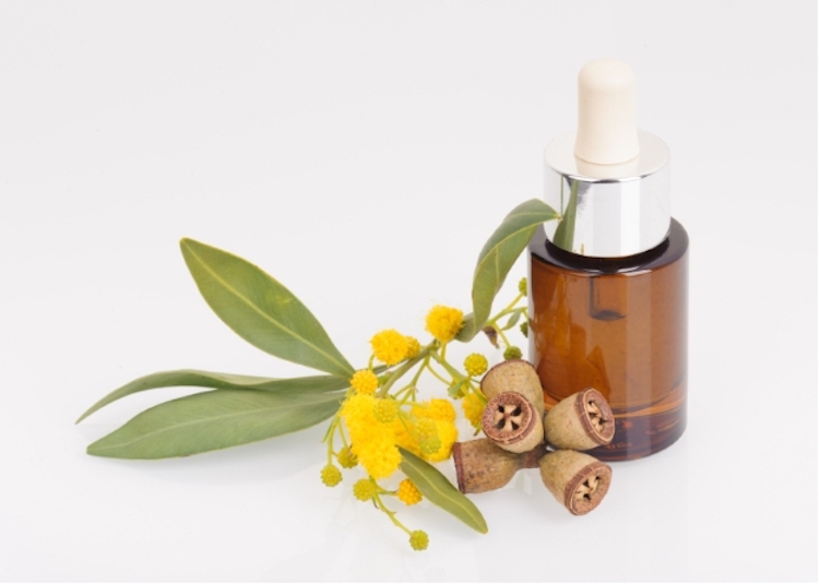 10 Eucalyptus Essential Oil Uses & Benefits You Need To Know About