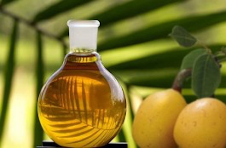 10 Reasons Why Marula Oil Works So Well On Your Hair, Face, & Skin