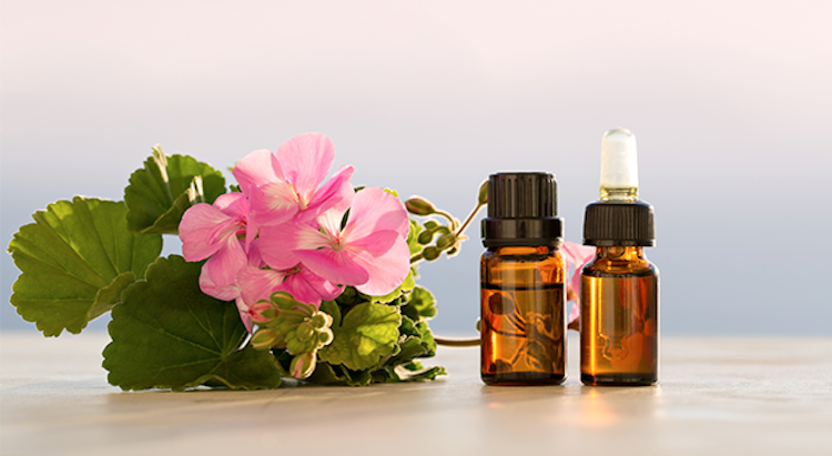 10 Geranium Essential Oil Benefits For Healthy Skin & Uplifting Your Mood