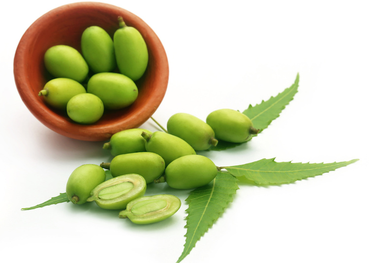 14 Incredible Neem Oil Uses That Will Improve Your Hair & Skin