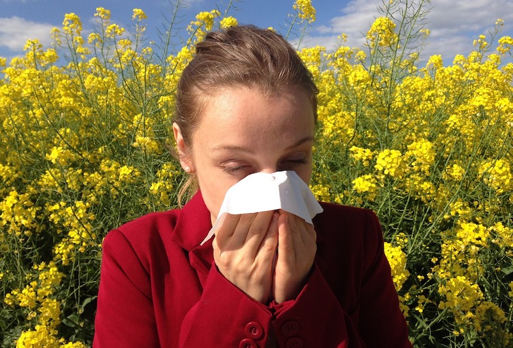 Whip Your Allergies Into Shape With These 10 Effective Home Remedies for Allergies