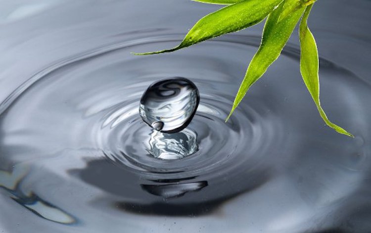 10 Reasons You Might Want To Put A Bottle Of Colloidal Silver Spray In Your Home