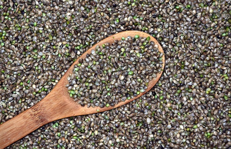10 Reasons Why You Should Add Hemp Seeds To Your Regular Diet